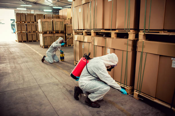 Reliable Gorman, NC Pest Control Solutions