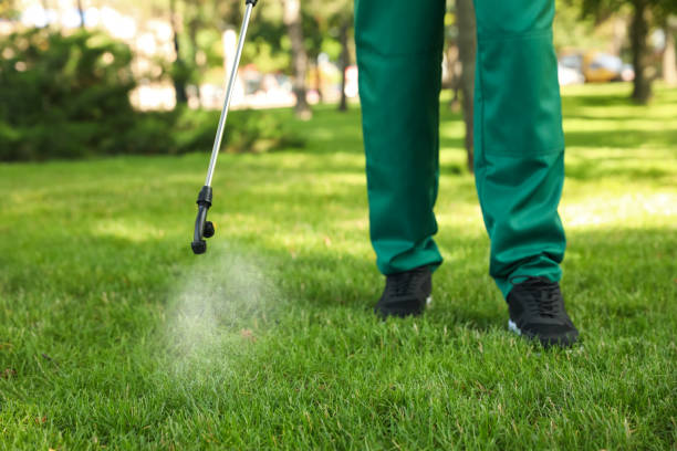 Best Commercial Pest Control Services  in Gorman, NC