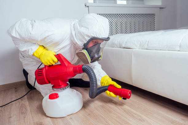 Best Bed Bug Extermination  in Gorman, NC