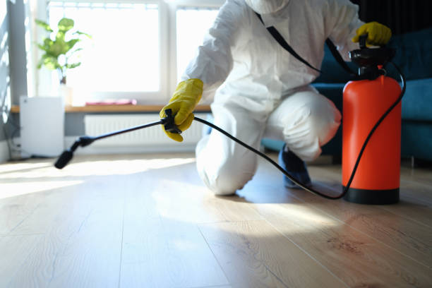 Best Residential Pest Control  in Gorman, NC