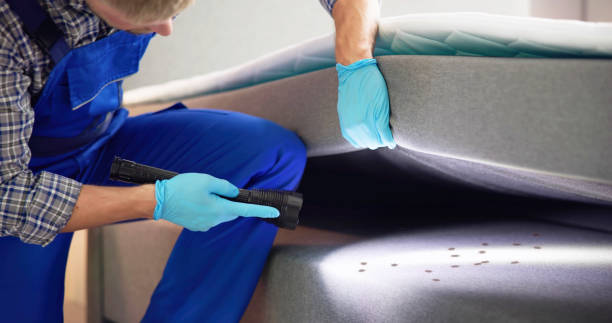 Best Pest Control Near Me  in Gorman, NC