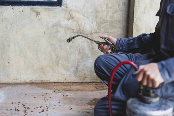 Best Pest Control Treatment  in Gorman, NC