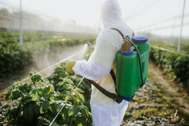 Best Wildlife Control Services  in Gorman, NC